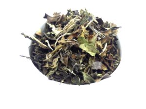 2024 Fuding Bai Mu Dan